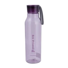 Бутылка Eco 550 мл, фиолетовая цена и информация | Фляги для воды | hansapost.ee