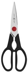 Набор ножей ZWILLING Four Star 35145-000-0 (блок ножей, 5 ножей, ножницы) цена и информация | Ножи и аксессуары для них | hansapost.ee