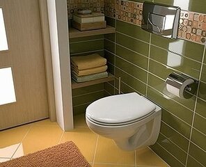 Seinale paigaldatav WC pott Koło Idol (M13100000) hind ja info | WС-potid | hansapost.ee