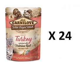 Carnilove консервы для кошек Turkey Valeriana, 24 х 85г цена и информация | Кошачьи консервы | hansapost.ee
