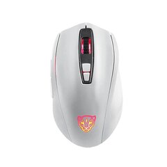 Gaming Mouse Motospeed V60 5000 DPI (white) цена и информация | Motospeed Компьютерная техника | hansapost.ee