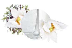 Домашний аромат Carbaline "Lotus" 250мл цена и информация | Ароматы для дома | hansapost.ee