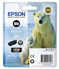 Epson, черный цена и информация | Картриджи для струйных принтеров | hansapost.ee