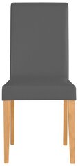 2-tooli komplekt Lucca, hall/helepruun hind ja info | Köögitoolid, söögitoolid | hansapost.ee
