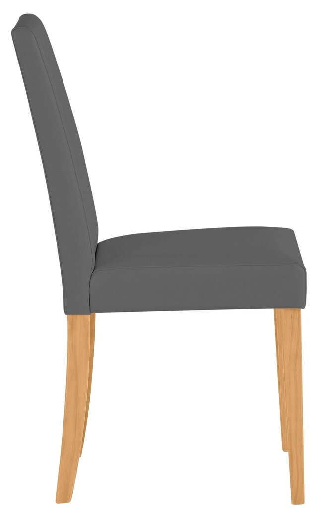 2-tooli komplekt Lucca, hall/helepruun hind ja info | Köögitoolid, söögitoolid | hansapost.ee