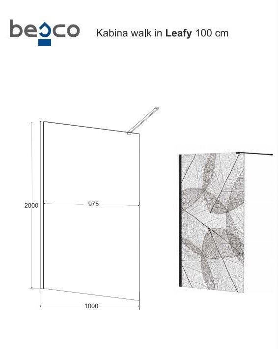 Walk-In dušikabiin Besco Leafy, 100,110,120 x 200 cm цена и информация | Dušiseinad ja dušiuksed | hansapost.ee