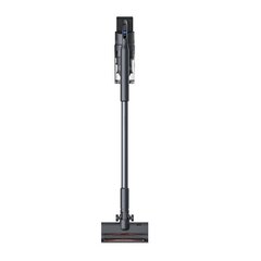 Cordless vacuum cleaner Roidmi X300 цена и информация | Беспроводные пылесосы | hansapost.ee