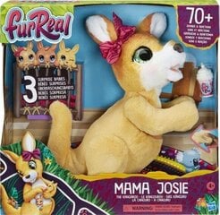 Interaktiivne mänguasi känguru Hasbro FurReal цена и информация |  Мягкие игрушки | hansapost.ee