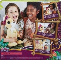 Interaktiivne mänguasi känguru Hasbro FurReal цена и информация |  Мягкие игрушки | hansapost.ee