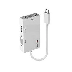 Адаптер USB Lindy Lindy 43273 3.1 C - HDMI, DVI, VGA цена и информация | Адаптеры, USB-разветвители | hansapost.ee