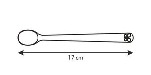 Laste pika varrega teelusikate komplekt Tescoma Bambini, 3-osaline hind ja info | Söögiriistad ja komplektid | hansapost.ee