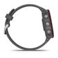 Garmin Forerunner® 255 Slate Gray hind ja info | Nutikellad, laste nutikellad | hansapost.ee