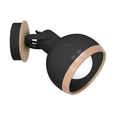 Seinavalgusti Milagro Oval price and information | Wall lights | hansapost.ee