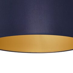 Laevalgusti Milagro Ben Navy Blue/Gold hind ja info | Laelambid | hansapost.ee