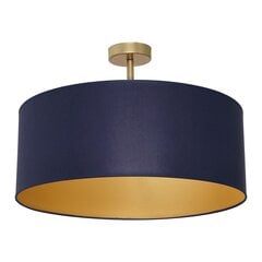 Laevalgusti Milagro Ben Navy Blue/Gold hind ja info | Laelambid | hansapost.ee