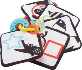 Fisher-Price 1-To-5 Learning Cards hind ja info | Beebide mänguasjad | hansapost.ee