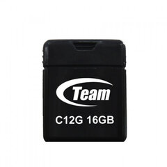 Накопитель TEAMGROUP TC12G16GB01 цена и информация | USB накопители данных | hansapost.ee