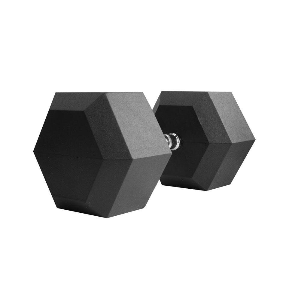 Thorn+fit dumbbell 15 kg цена и информация | Hantlid, kangid, raskused | hansapost.ee