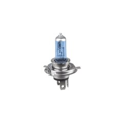 Autopirn B4-H4 12V 60-55W price and information | Car bulbs | hansapost.ee