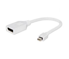 Gembird - Адаптер DISPLAYPORT Mini (M) -> DISPLAYPORT (F) цена и информация | Адаптеры, USB-разветвители | hansapost.ee