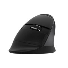 Wireless Vertical Mouse Delux M618Mini DB BT+2.4G 2400DPI (black) hind ja info | Arvutihiired | hansapost.ee