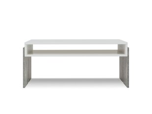 Журнальный столик BSL Concept Zoie, 100x60x45 см, белый цена и информация | BSL Concept Мебель для гостиной | hansapost.ee