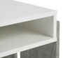 Diivanilaud BSL Concept Zoie, 100x60x45 cm, valge hind ja info | Diivanilauad | hansapost.ee