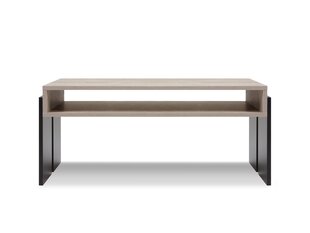 Журнальный столик BSL Concept Zoie, 100x60x45 см, черный/коричневый цена и информация | Журнальные столики | hansapost.ee