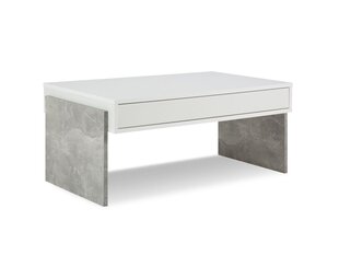 Журнальный столик BSL Concept Zhuri, 100x60x45 см, белый цена и информация | BSL Concept Мебель для гостиной | hansapost.ee