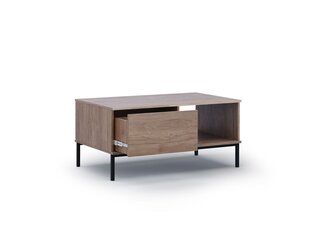 Журнальный столик BSL Concept Query, 100x60x47 см, коричневый цена и информация | BSL Concept Мебель для гостиной | hansapost.ee