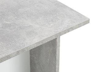 Журнальный столик BSL Concept Elina, 100x60x55 см, серый цена и информация | BSL Concept Мебель для гостиной | hansapost.ee