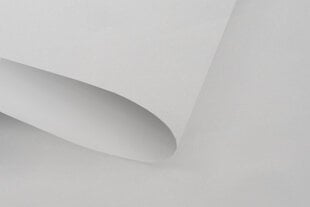 Мини-ролет с механизмом натяжения и 100% затемняющим материалом 60x150 см, серый цена и информация | Рулонные шторы | hansapost.ee