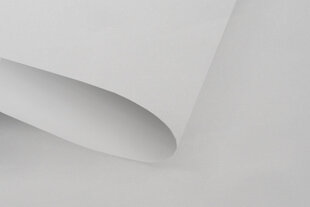 Мини-ролет с механизмом натяжения и 100% затемняющим материалом 73x150 см, серый цена и информация | Рулонные шторы | hansapost.ee