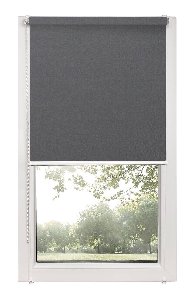 Pimendav ruloo Blackout PG 04 HALL, 43x150 cm hind ja info | Rulood | hansapost.ee