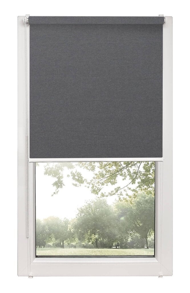 Pimendav ruloo Blackout PG 04 HALL, 65x150 cm hind ja info | Rulood | hansapost.ee