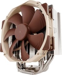 Ventilaator Noctua CPNA-056 цена и информация | Кулеры для процессоров | hansapost.ee