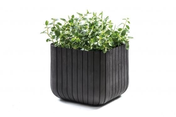 Lillepott Keter Cube Planter, 21.5 l, grafiit цена и информация | Lillepotid | hansapost.ee