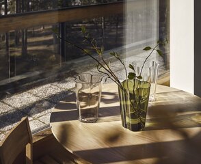 Iittala Aalto vaas 27 cm samblaroheline hind ja info | Vaasid | hansapost.ee