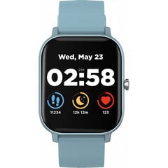 Смарт-часы Canyon Wildberry CNS-SW74BL цена и информация | Смарт-часы (smartwatch) | hansapost.ee