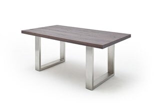 Обеденный стол MC Akcent Castello, 220x100 см, темно-коричневый/серебристый цена и информация | Кухонные и обеденные столы | hansapost.ee