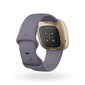 Fitbit Versa 3 Thistle/Soft Gold hind ja info | Nutikellad, laste nutikellad | hansapost.ee