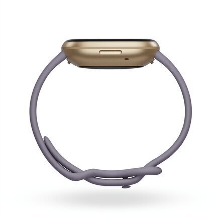 Fitbit Versa 3 Thistle/Soft Gold hind ja info | Nutikellad, laste nutikellad | hansapost.ee