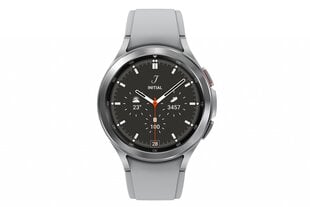 Samsung Galaxy Watch4 Classic SM-R895F Silver цена и информация | Смарт-часы (smartwatch) | hansapost.ee