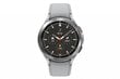 Samsung Galaxy Watch 4 Classic (LTE,46mm), Silver SM-R895FZSAEUD цена и информация | Nutikellad, laste nutikellad | hansapost.ee