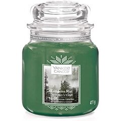 Ароматическая свеча Yankee Candle Evergreen Mist, 104 г цена и информация | Свечи, подсвечники | hansapost.ee