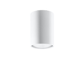Потолочный светильник Sollux Lagos, белый, 10 см цена и информация | Потолочные светильники | hansapost.ee