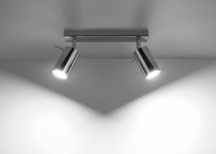 Потолочный светильник Sollux Ring, серебро, 2 лампочки цена и информация | Потолочные светильники | hansapost.ee