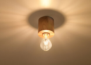 Потолочный светильник Sollux Salgado, коричневый цена и информация | Потолочные светильники | hansapost.ee
