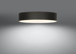 Потолочный светильник Sollux Skala, черный, 60 см цена и информация | Потолочные светильники | hansapost.ee