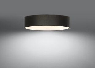 Потолочный светильник Sollux Skala, черный, 50 см цена и информация | Потолочные светильники | hansapost.ee